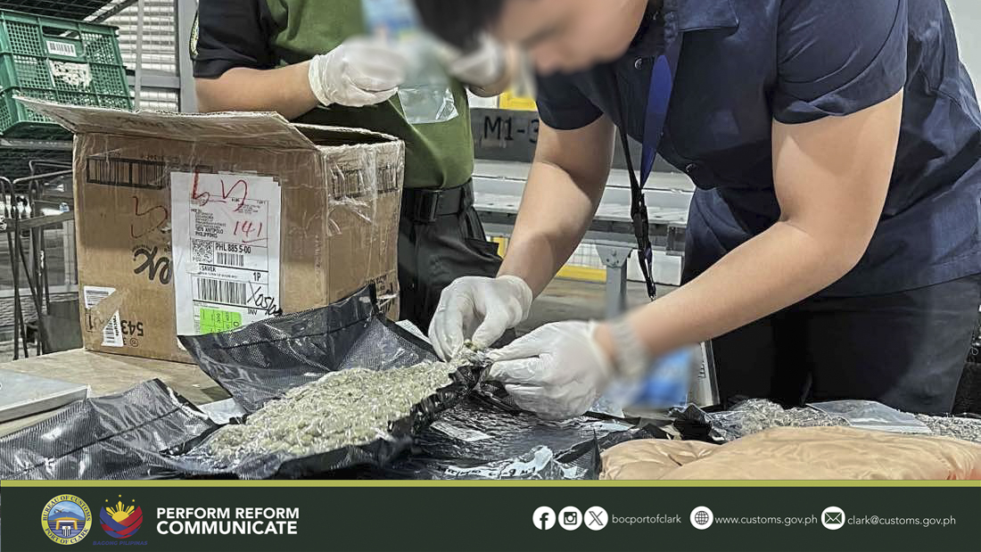 BOC-Clark, PDEA nab consignee of P3.1-Million worth of High-Grade Marijuana or Kush