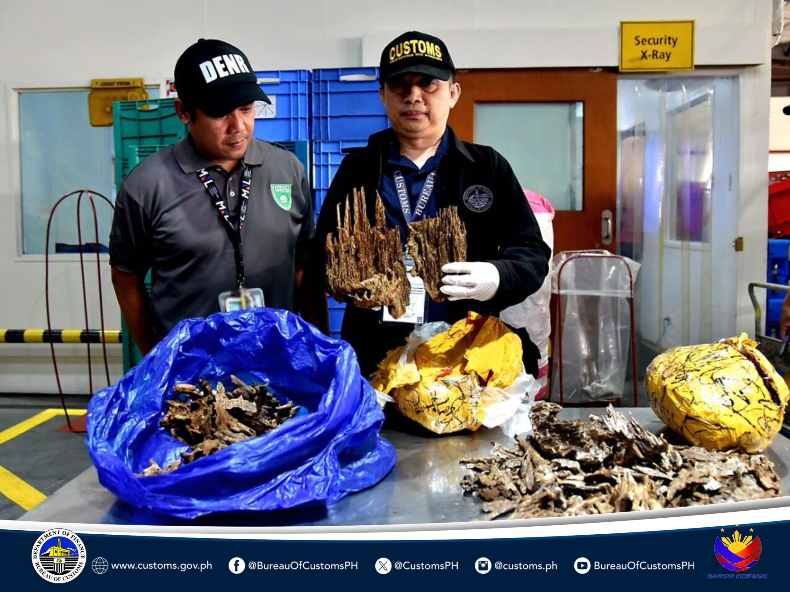 BOC NAIA Seizes PhP4.2 Million Worth of Rare Agarwood